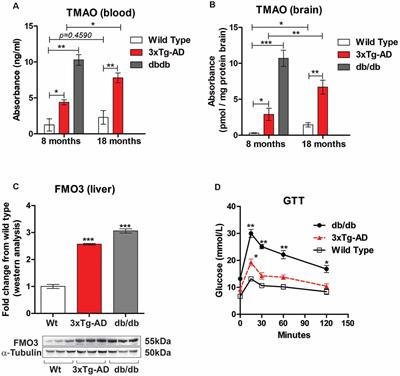 Gut Metabolite TMAO Induces Synaptic Plasticity Deficits by Promoting Endoplasmic Reticulum Stress